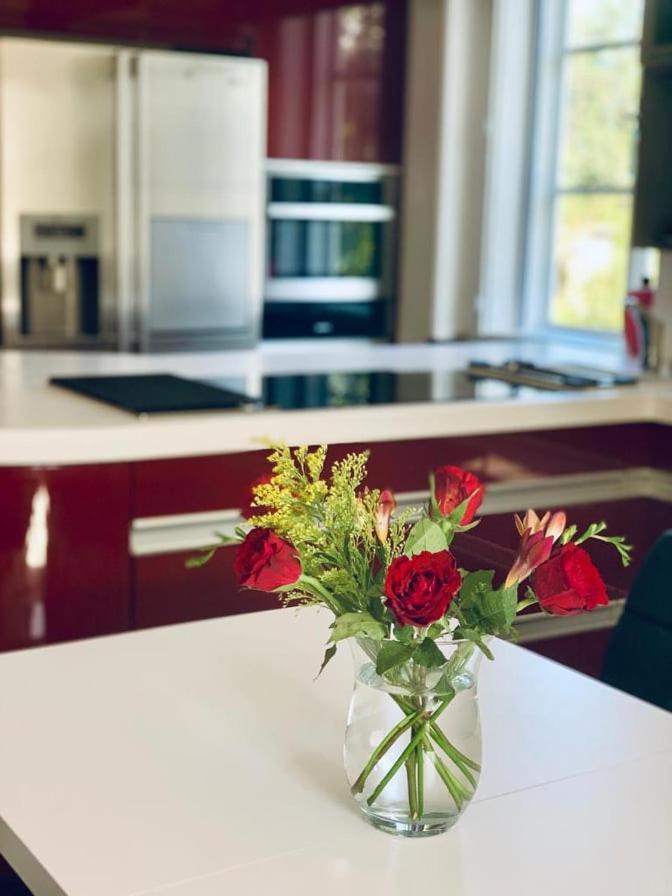 Aparments Bukol Apartment Vojkovice  Ngoại thất bức ảnh